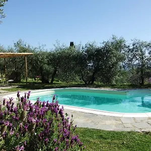agriturismo-il-castagnolino.it-tuscanyhotel.com/